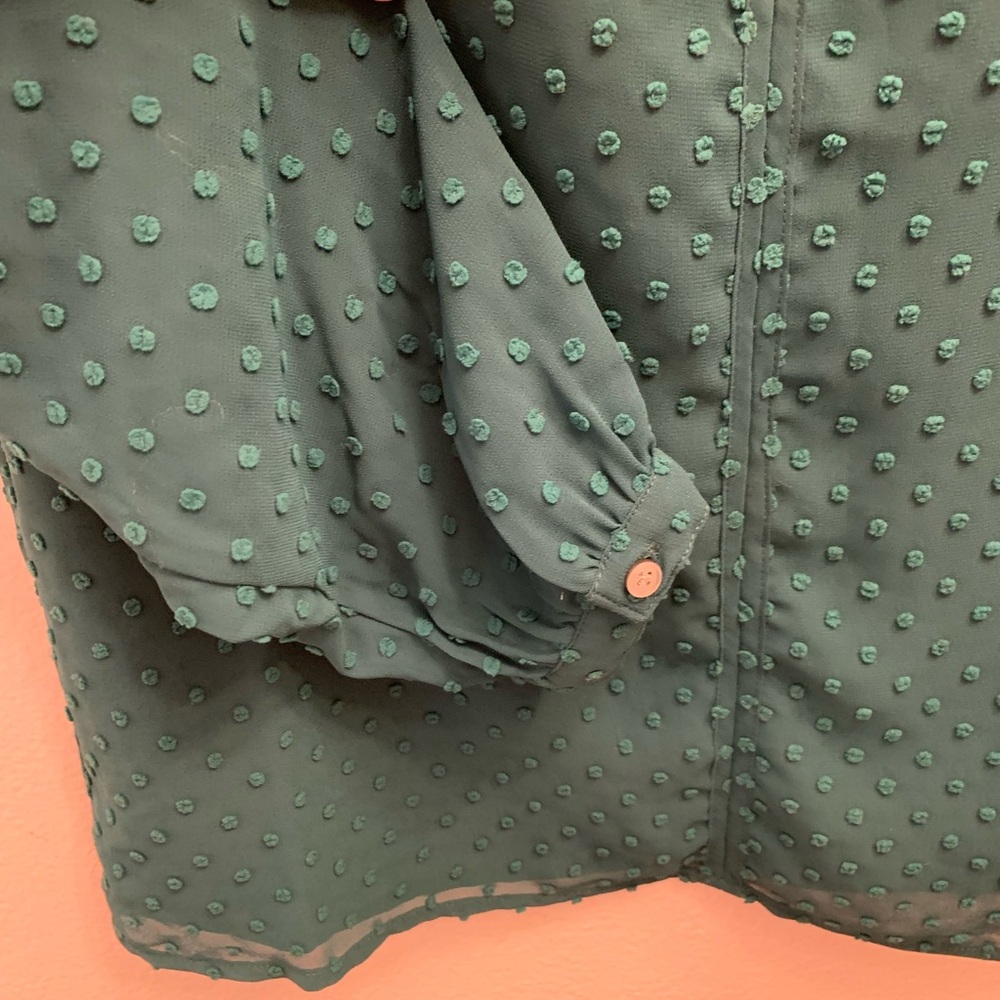 J.Crew Women's Green Swiss Dot Sheer Blouse Long Sleeve V Neck Top - Picture 5 of 6